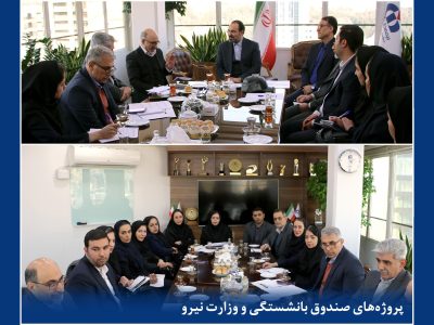 جلسه بررسی برنامهها و ارزیابی عملكرد سال جاری مدیریت پروژههای صندوق بازنشستگی و وزارت نیروی بیمه دانا