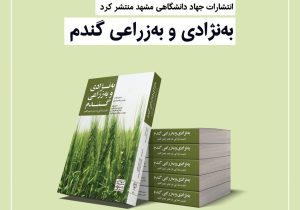 راهبردهای جدید در بهینه‌سازی گندم‌: اصلاح نژادی گندم، تولید گندم سازگار با گرما و بهبود خواص تغذیه‌ای گندم