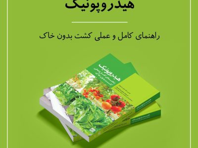 بیایید یک گلخانه هیدروپونیک داشته باشیم