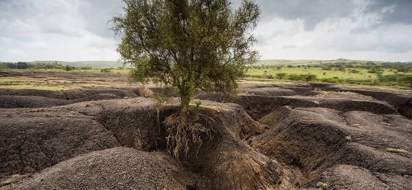 نابودی خاک، يعنی نابودی تمدن و موجودیت ایران