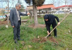 “غرس نهال به یاد شهید موسی صادقی”