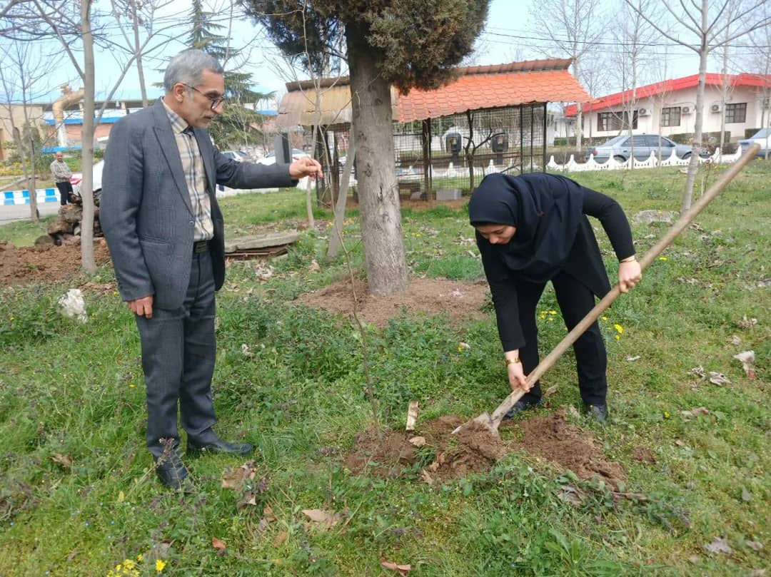 “غرس نهال به یاد شهید موسی صادقی”