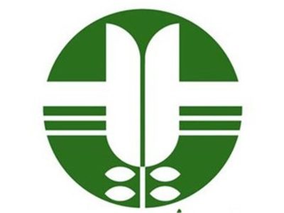 اصناف تهران خواستار قانون واحد برای هزینه کیسه‌های خرید شدند