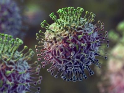 آنفولانزا در مسیر تبدیل شدن به کرونا
