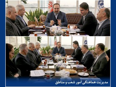 جلسه بررسی برنامهها و ارزیابی عملكرد سالجاری معاونت بازاریابی و شبكه فروش بیمه دانا
