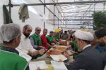 نقش موکب‌های قزوین در پیوند گردشگری مذهبی و فرهنگ رضوی