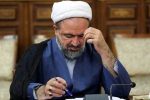 نماینده انقلابی و انقلاب مخملی