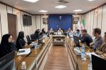 تأکید بر تسهیل ارائه خدمات درمانی به ایثارگران در استان زنجان