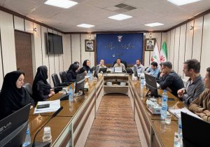 تأکید بر تسهیل ارائه خدمات درمانی به ایثارگران در استان زنجان